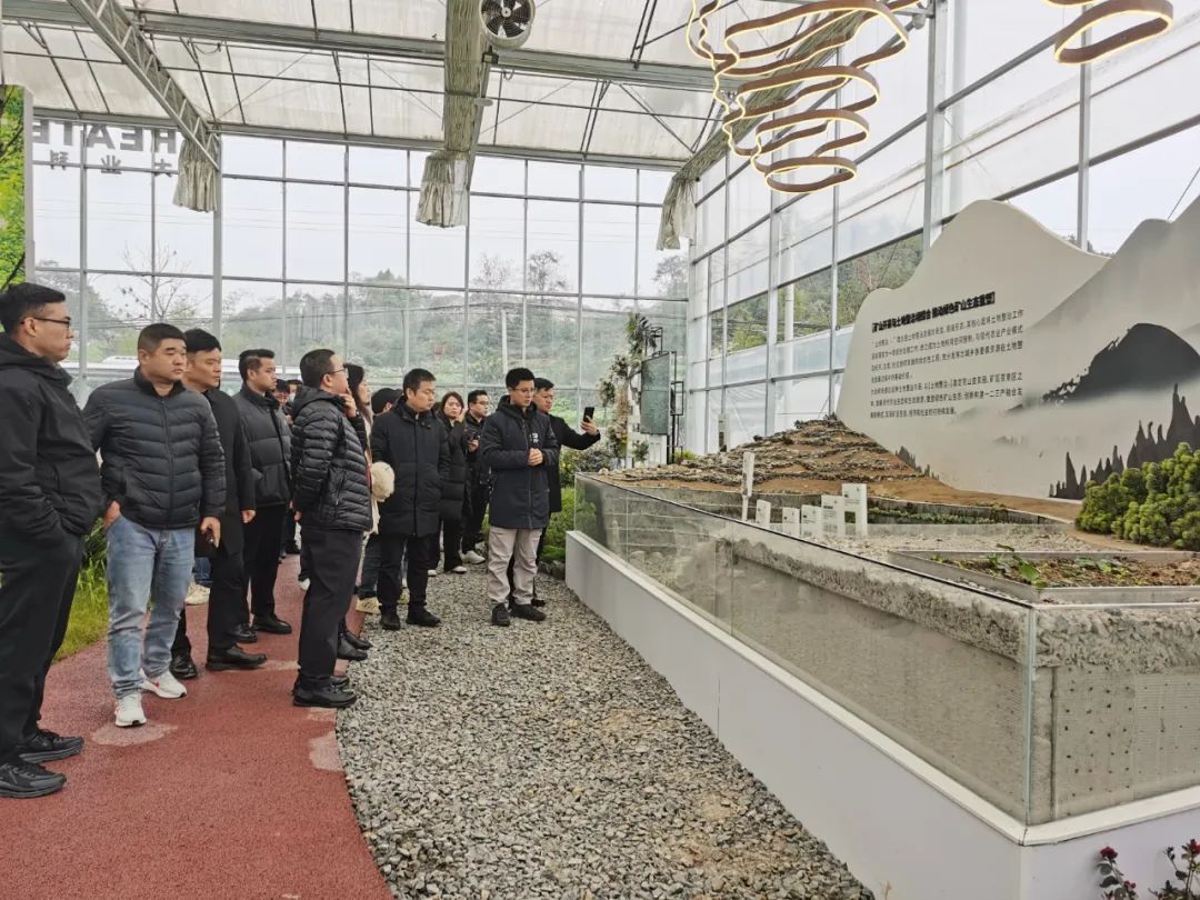 Los participantes de la 9ª Conferencia Internacional de Agregados de Arena y Grava de China visitaron Chongqing Daye Building Materials para una visita e intercambio